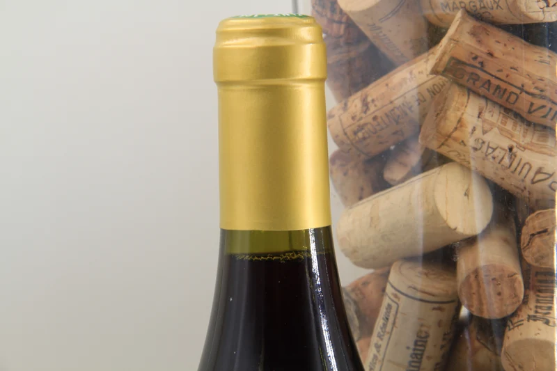 Beaune 1er Cru " Clos du Roi " ** 2000 ** Domaine Rapet