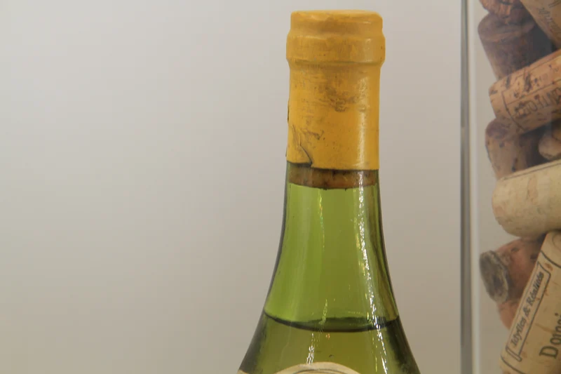 -Bourgogne Aligoté " Coteaux de St Bris " ** 1979 ** Luc Sorin