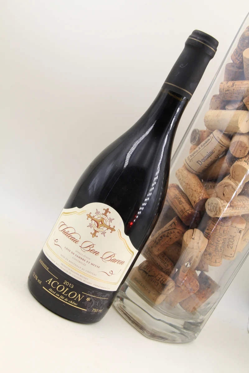 Chateau Bon Baron ** 2013 ** Acolon