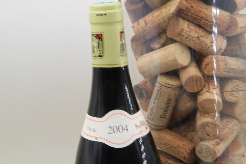 Santenay - Maladière 1er Cru ** 2004 ** G Prieur-Brunet