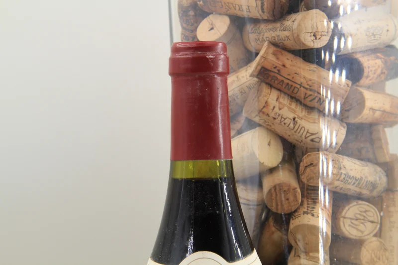 - Gevrey Chambertin 1er Cru " Petite Chapelle " **2003 ** Dugat Py