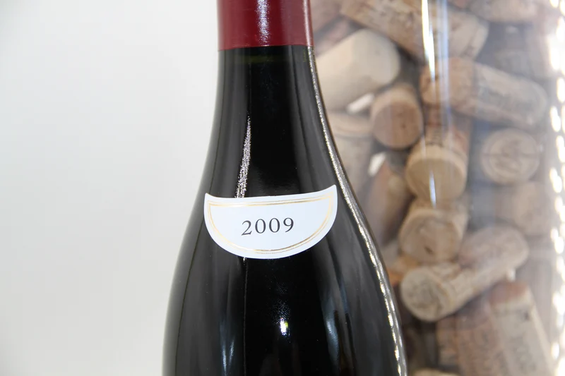 - Gevrey Chambertin "Clos Des Meix Des Ouches" **2009** Domaine Des Varoilles