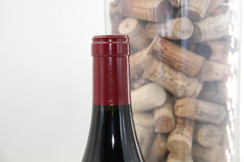 - Gevrey Chambertin "Clos Des Meix Des Ouches" **2009** Domaine Des Varoilles