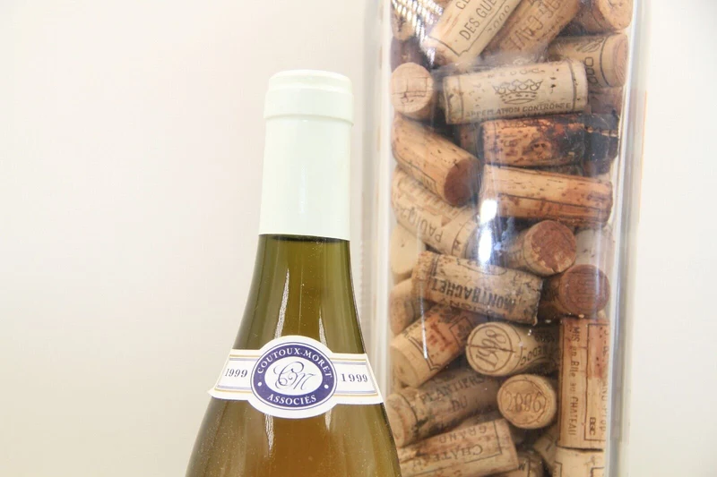 - Santenay 1er Cru " La Comme " ** 1999 ** Michel Coutoux