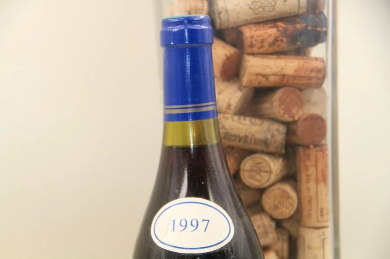 Volnay "Les Échards" ** 1997 ** Domaine Parigot