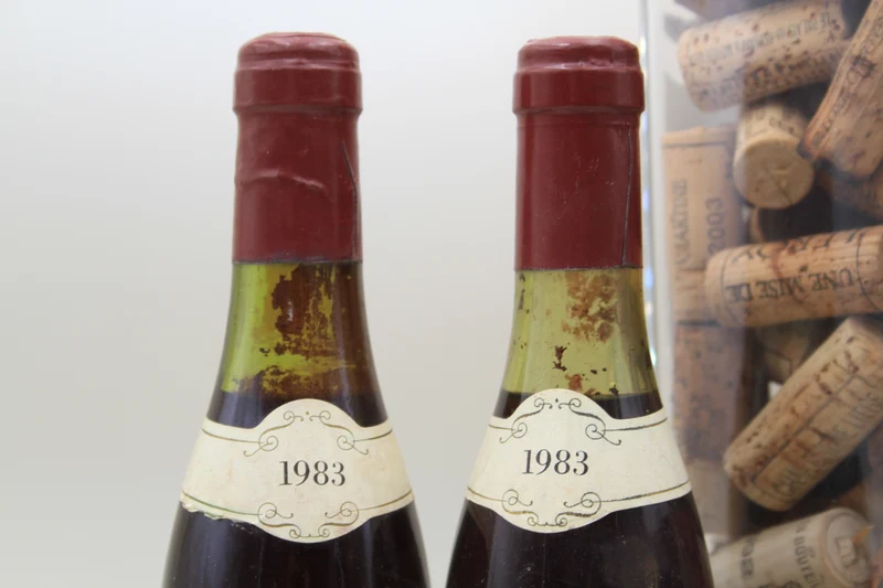 Nuits saint Georges **1983** Mugneret 37,5cl x2