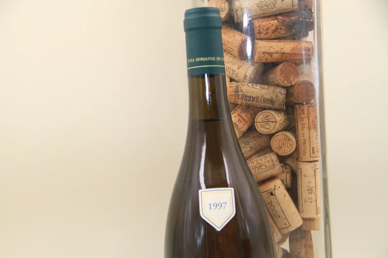- Puligny Montrachet 1er Cru "Les Folatières" **1997 ** Chateau De Puligny Montrachet