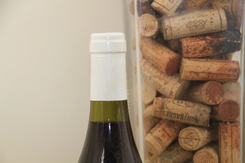 -Pommard 1er Cru "Clos Micault" **1996 ** Rebourgeon-Mure