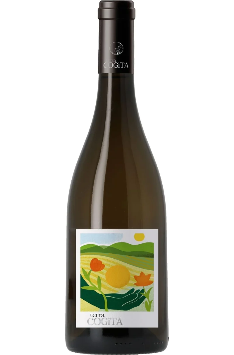 (PREIG) Terra Cogita vin de france blanc