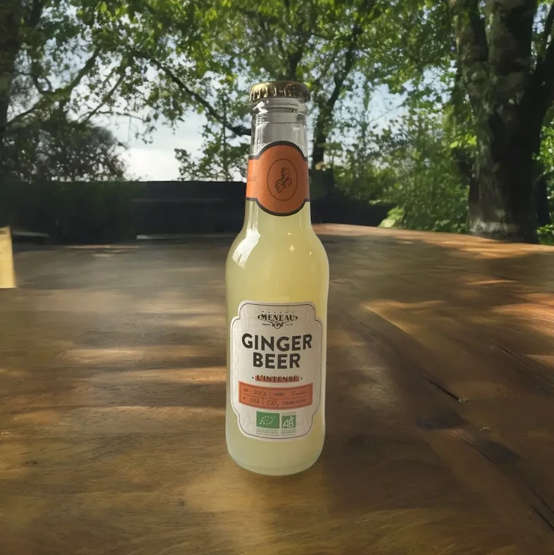 Ginger Beer Bio - 20 cL