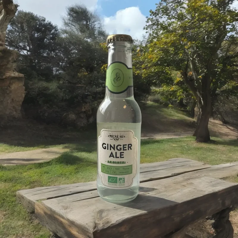 Ginger Ale Bio - 20 cL