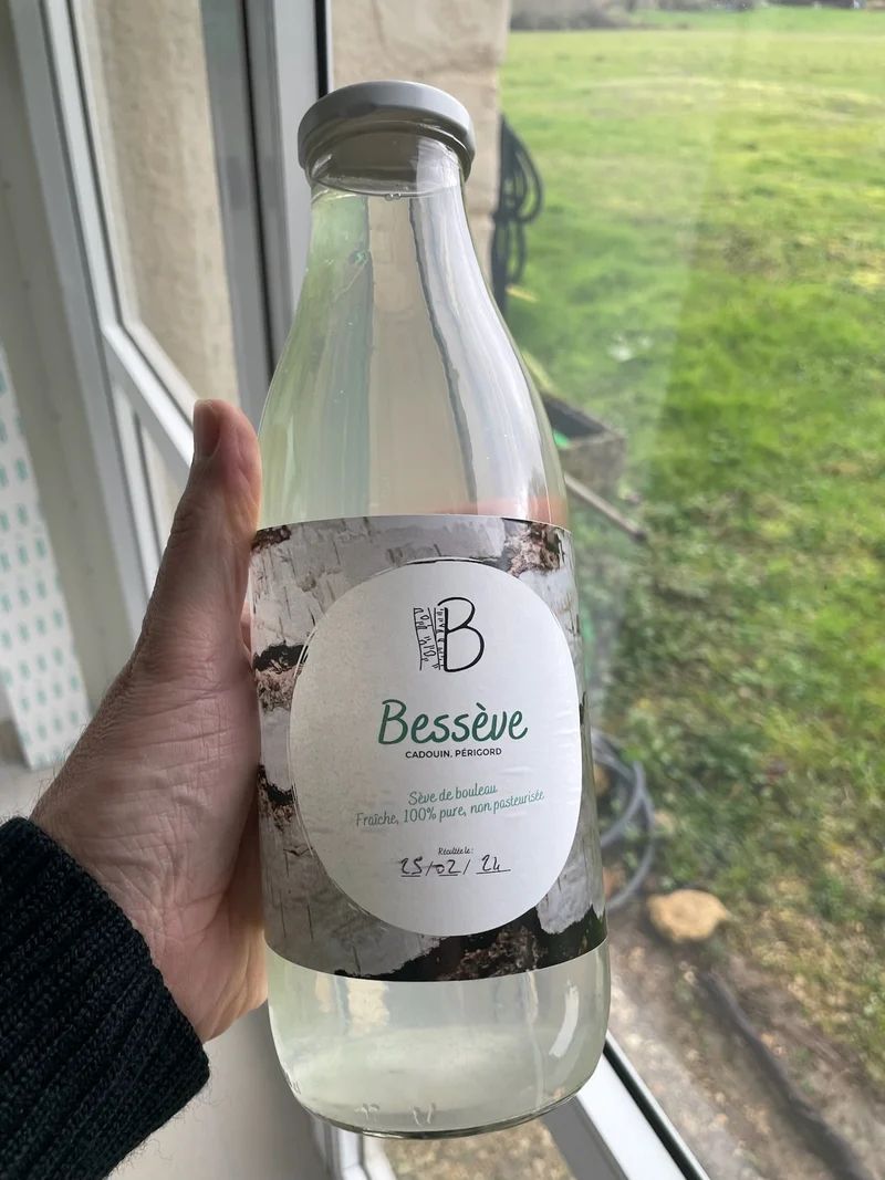 Sève de Bouleau fraîche - 100% naturelle