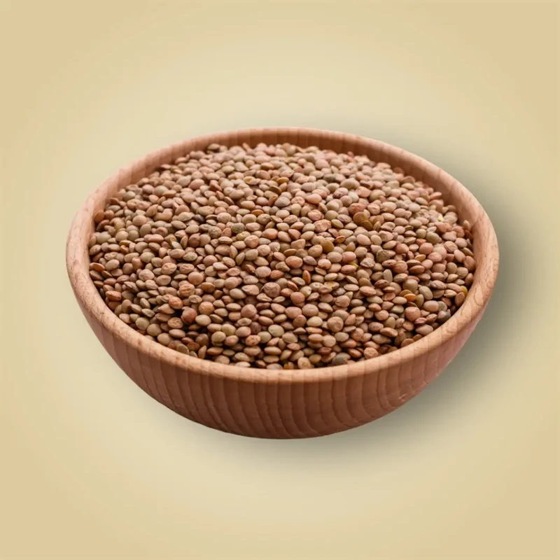 Lentilles vertes - 500g