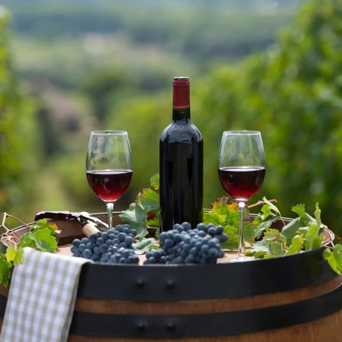 Assortiment de vins rouges de Dordogne