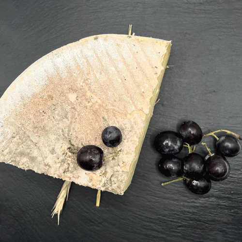 Saint Nectaire AOP | 400g