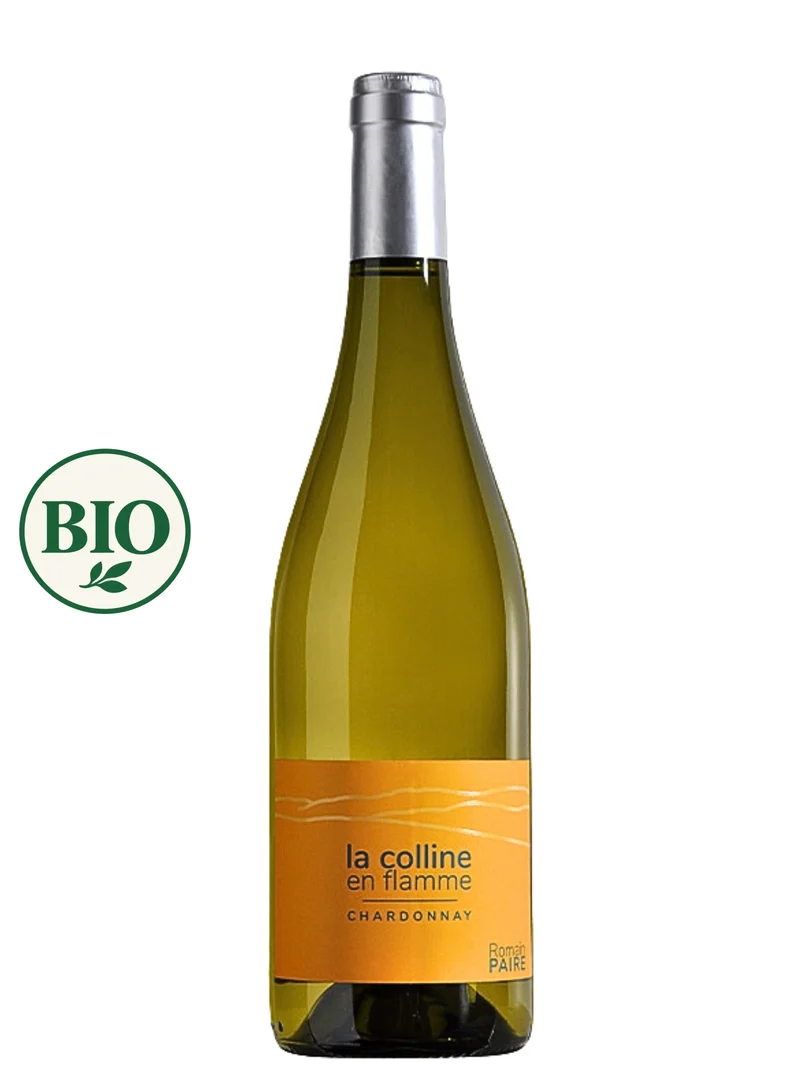 Domaine des Pothiers - Romain Paire - La colline en flamme blanc 2025