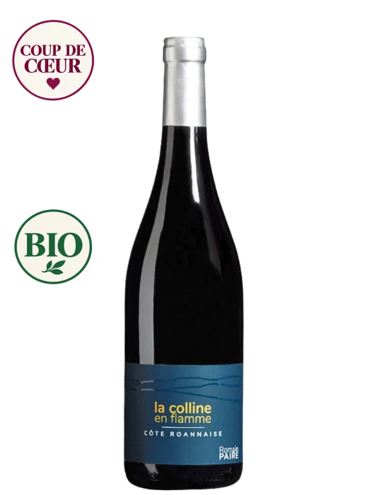 Domaine des Pothiers - Romain Paire - Côte Roannaise - La colline en flamme rouge 2025