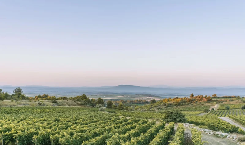 Héritage "An 873" AOP Minervois 2022 – Lot 6 Bouteilles 75cl vin rouge