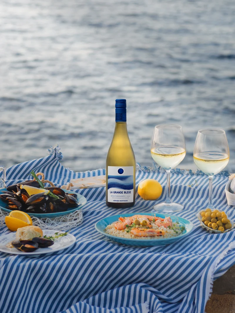 La Grande Bleue 2025 vin blanc bio Offre Spéciale 12 Bouteilles 75cl et Magnum Offert