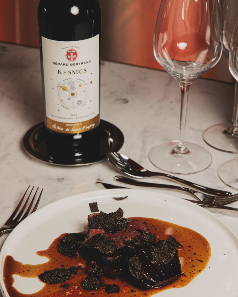 Kosmos jour Hommage à Saint Exupéry Vin de France 2022 – 75cl vin rouge