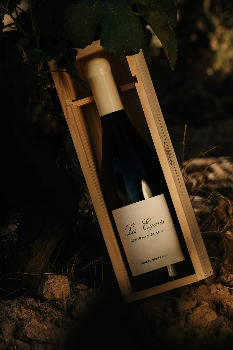 Les Égarés Carignan Blanc Unitaire Vin de France 2023 – 75cl Caisse Bois vin blanc