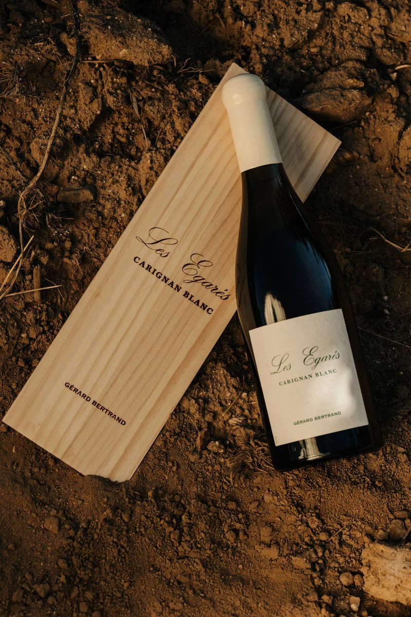 Les Égarés Carignan Blanc Unitaire Vin de France 2023 – 75cl Caisse Bois vin blanc