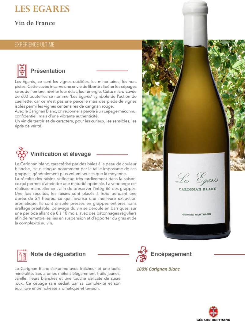 Les Égarés Carignan Blanc Unitaire Vin de France 2023 – 75cl Caisse Bois vin blanc