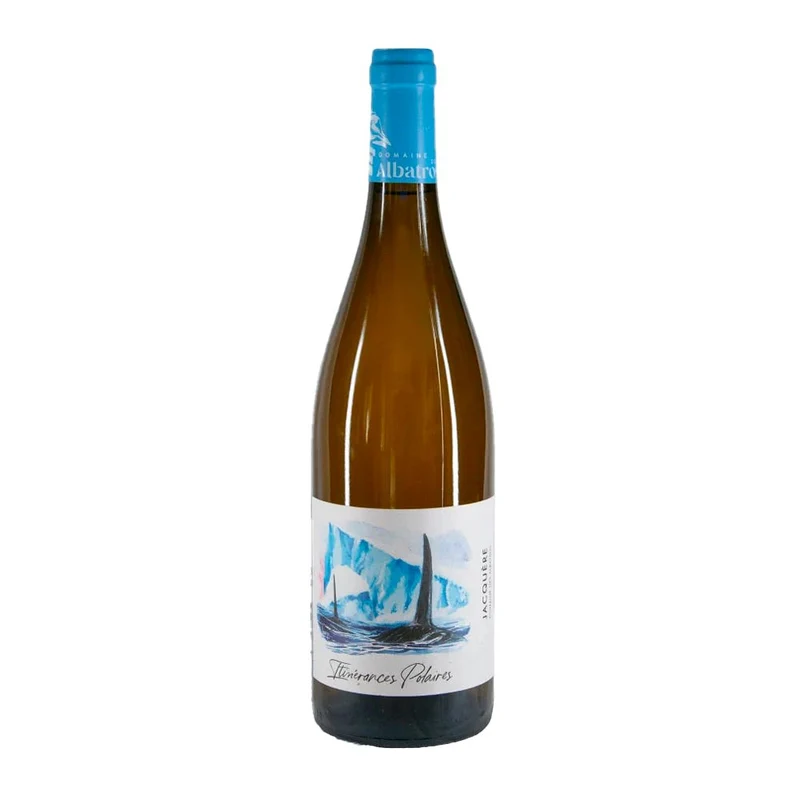 Itinérances Polaires 2025 | Domaine des Albatros