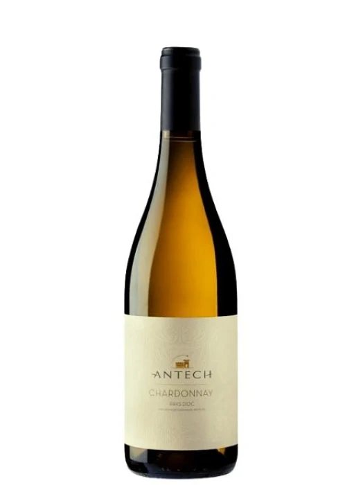 Maison Antech - IGP Pays d'Oc - Chardonnay 2024