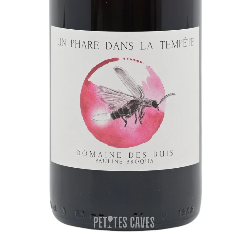 Un Phare Dans La Tempête 2023 l Domaine des Buis