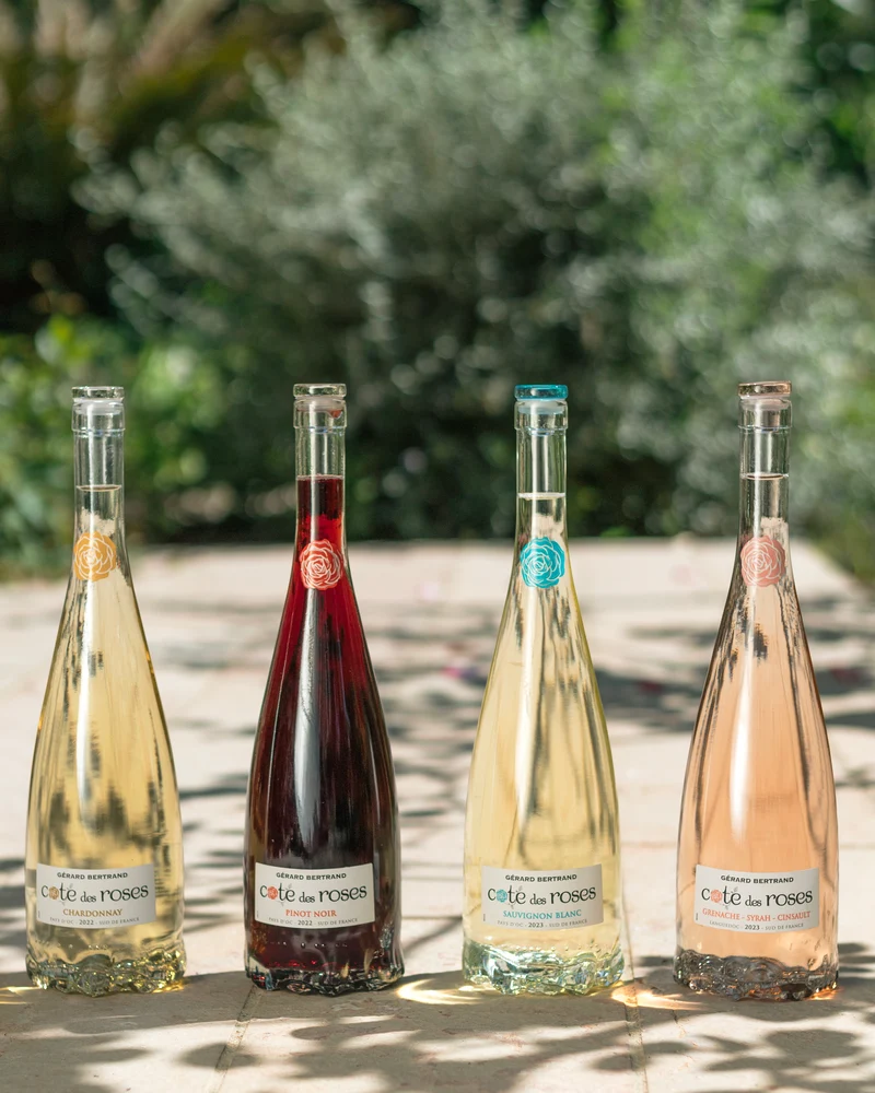 Cote des Roses chardonnay IGP Pays d'Oc 2025 – 75cl vin blanc