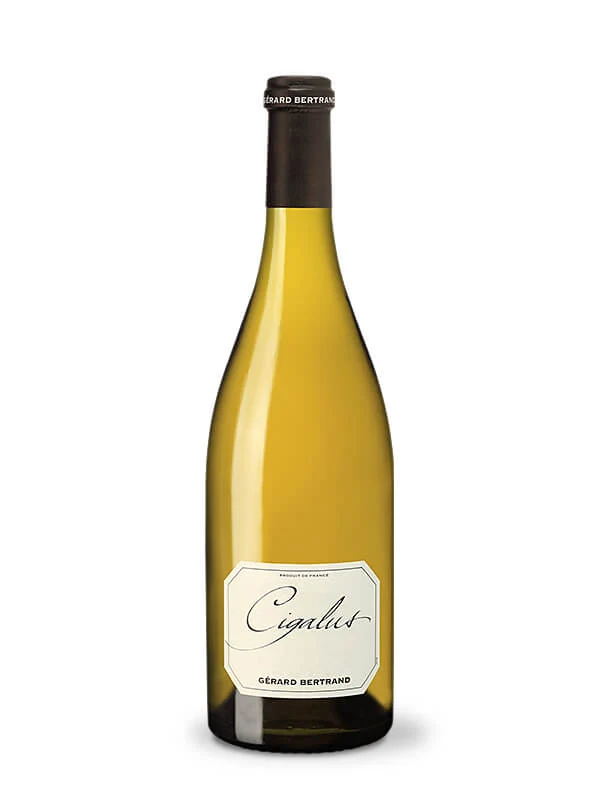 Cigalus Blanc IGP Pays d'Oc 2024 – 75cl vin blanc