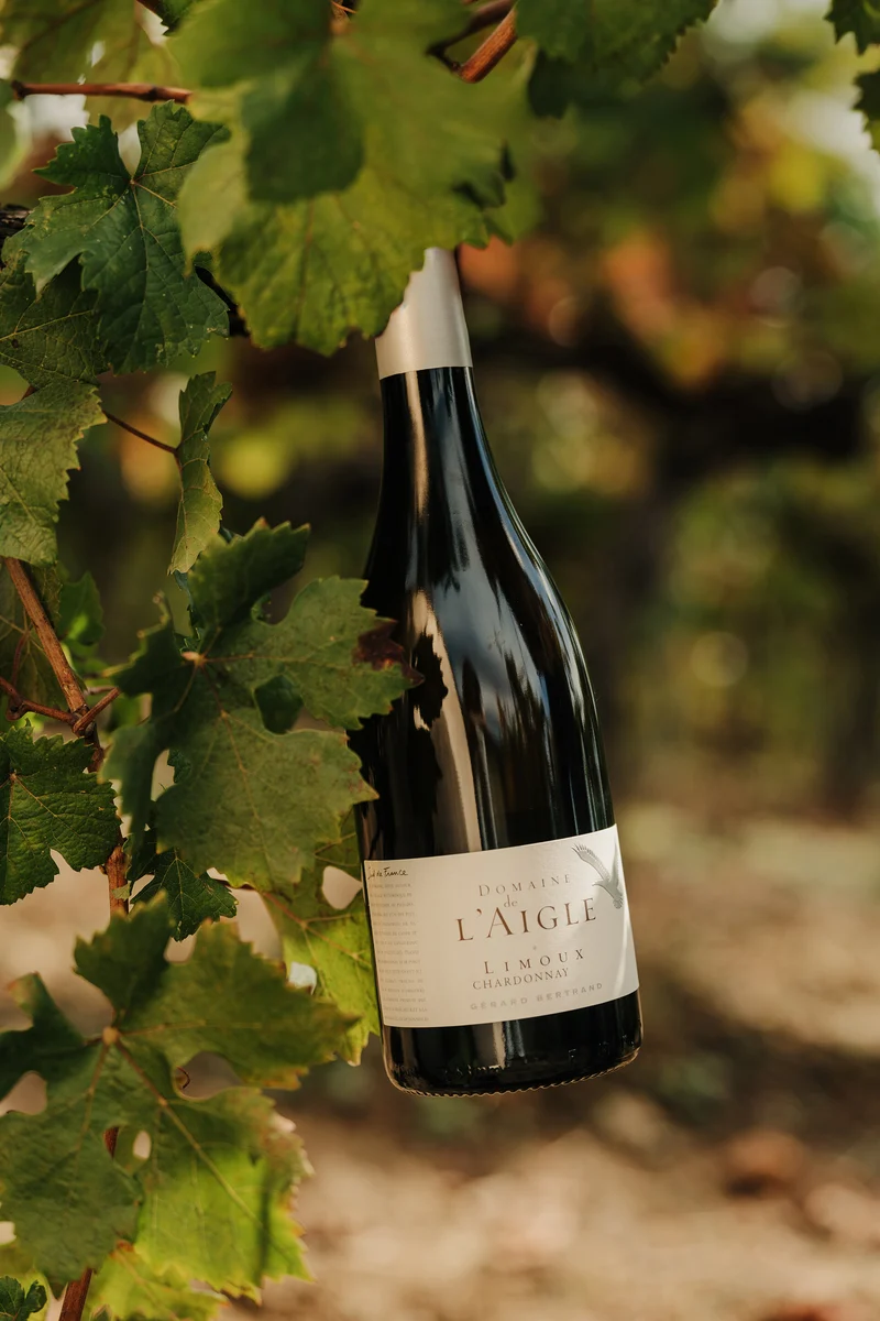 Domaine de l'Aigle Chardonnay AOP Limoux 2020 – Magnum (1,5L) vin blanc