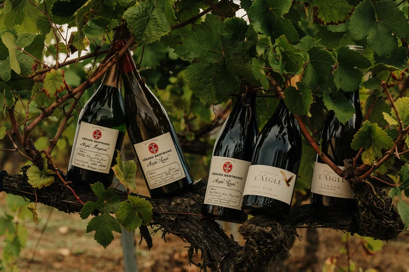 Domaine de l'Aigle Chardonnay AOP Limoux 2020 – Magnum (1,5L) vin blanc