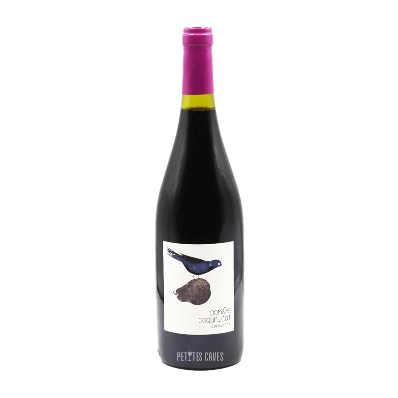 Cueillette 2022 | Domaine Coquelicot