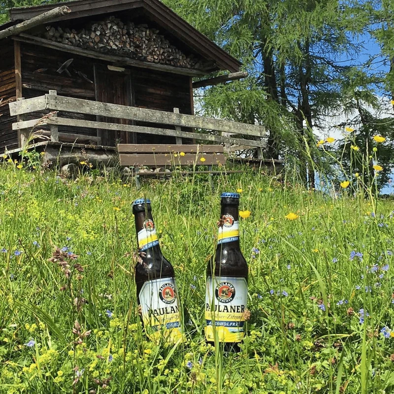 Bière blanche de blé au citron 0,0 % 33 cl - Paulaner
