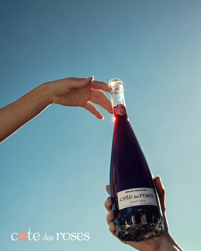 Cote des Roses Rouge léger IGP Pays d'Oc 2025 – 6 bouteilles 75cl vin rouge