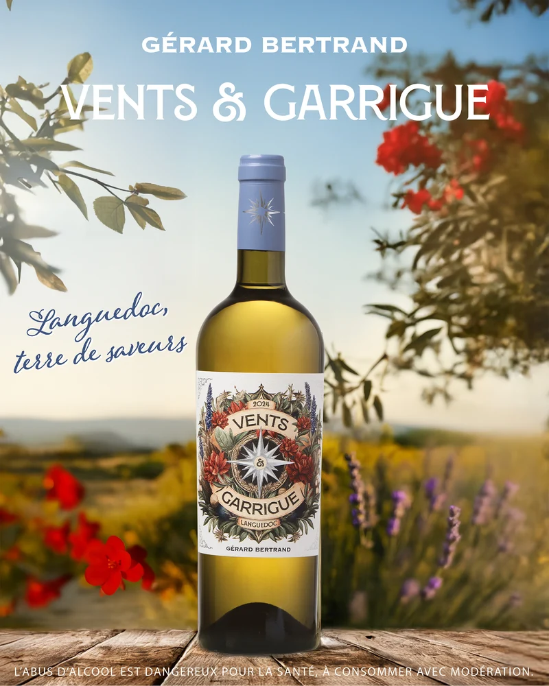 Vents & Garrigue AOP Languedoc 2024 – Lot 6 bouteilles 75cl vin blanc