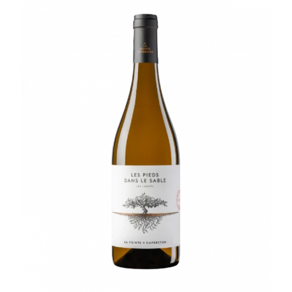 Domaine de la Pointe - Les Pieds dans le sable - IGP Landes (Capbreton)- 2024