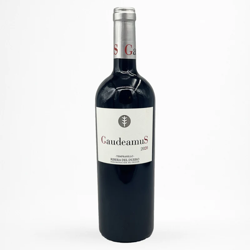 Bodega Hermanos del Villar - Gaudeamus - 2021 - Ribera Del Duero - Vin d'Espagne