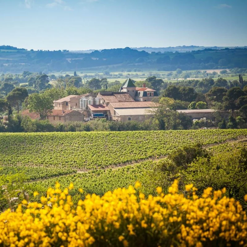 La Provenquière - Pinot Noir “Les Hauts Coteaux” 0 %
