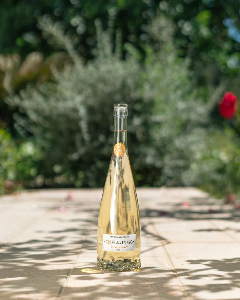 Cote des Roses chardonnay IGP Pays d'Oc 2022 – demi bouteille 37,5cl vin blanc