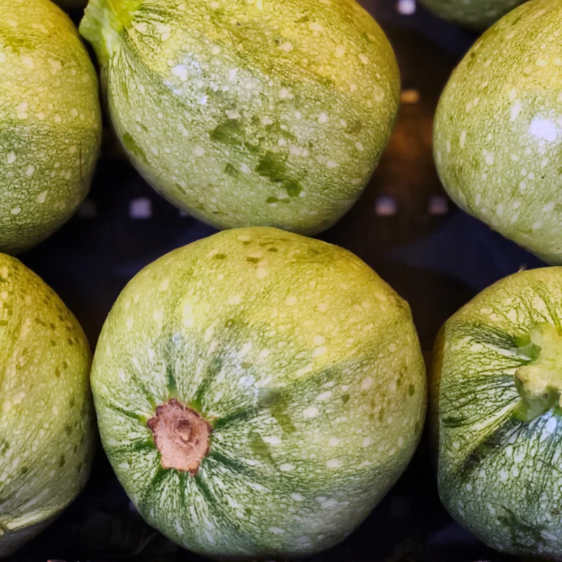 Courgette Ronde de Nice - 1kg