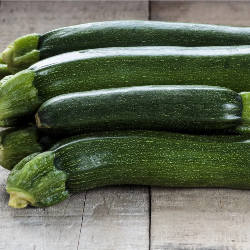 Courgette allongée verte - Tempra - 1kg