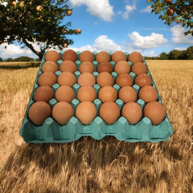 Oeufs - 63/73 - Poule au sol plein air - quantité 30