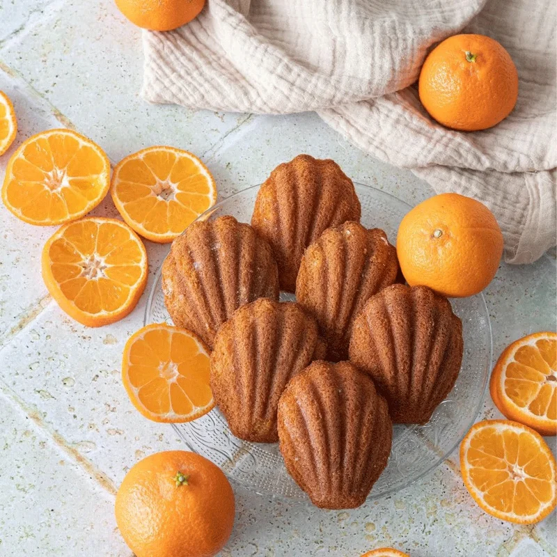 Boîte de 10 Madeleines Agrumes | 250g